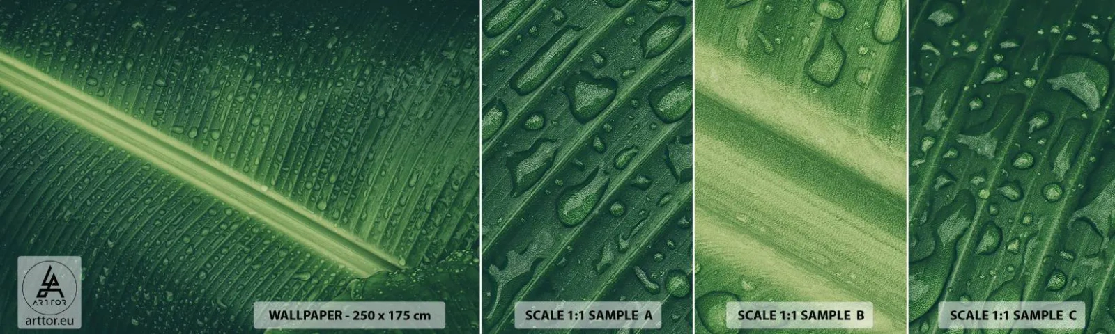 Échantillon de Papier Peint Autocollant Deluxe Sticker - Structure de vert - Feuille verte, Plante tropicale, Morceau - 100x30 cm