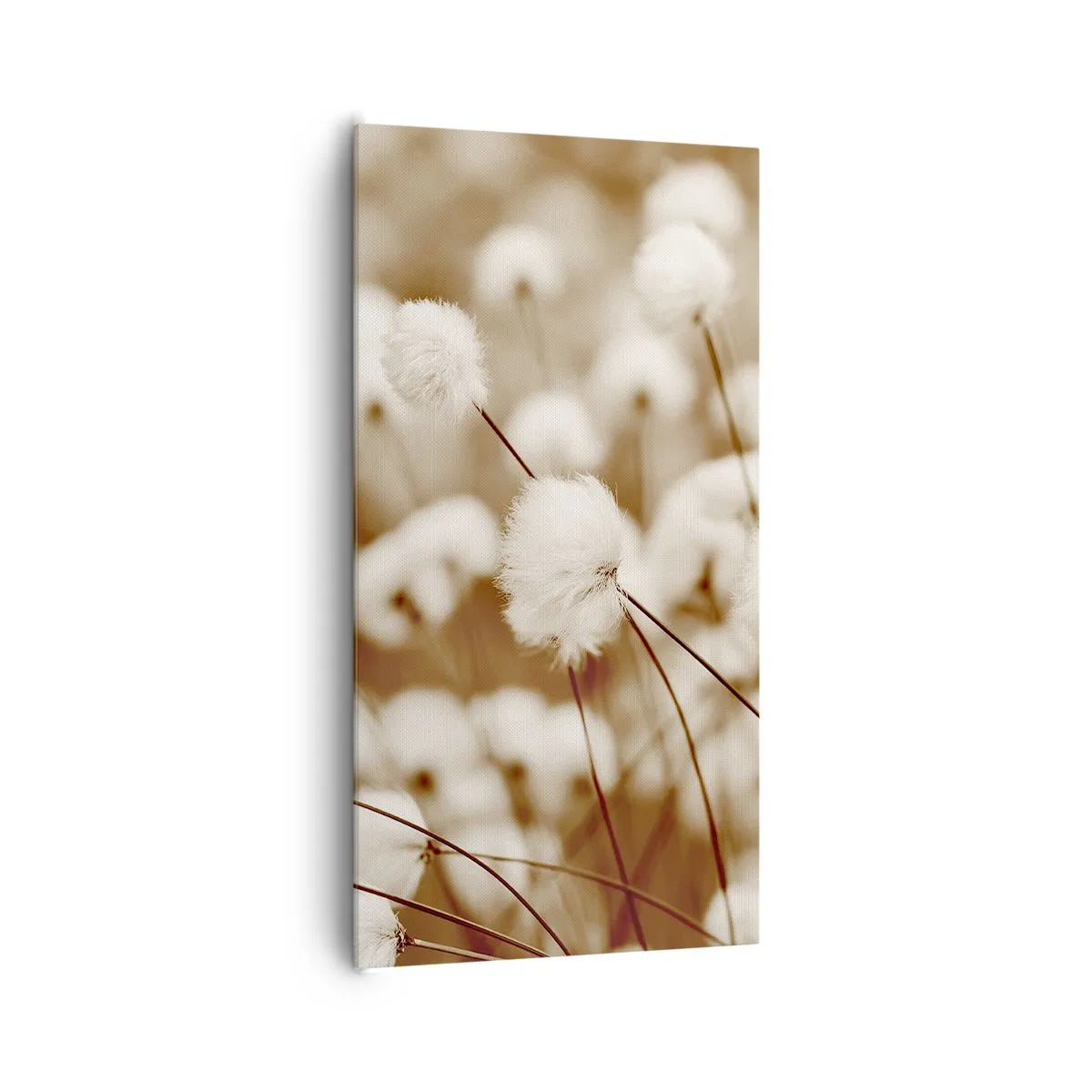 Impression sur toile - Image sur toile - Tige moelleuse - 65x120 cm