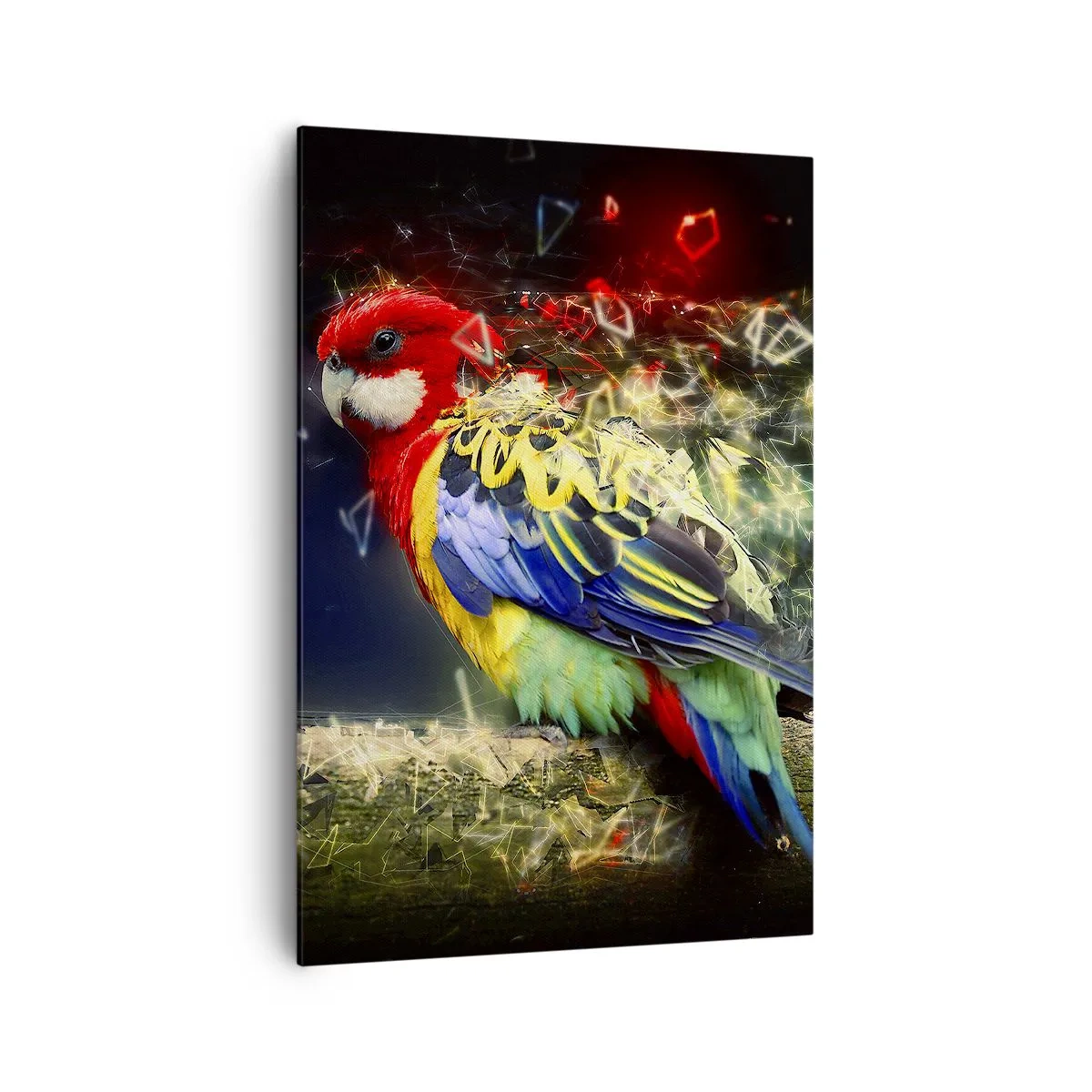 Impression sur toile - Image sur toile - Un perroquet aux couleurs vives sur un fond d'effets de lumière - 70x100cm - Messager d'éclat - Décoration murale moderne pour le salon et la chambre ARTTOR