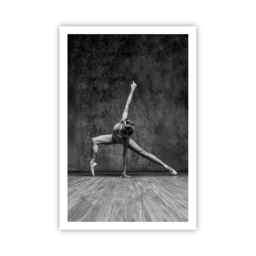 Affiche - Poster - Balance idéale - 61x91 cm