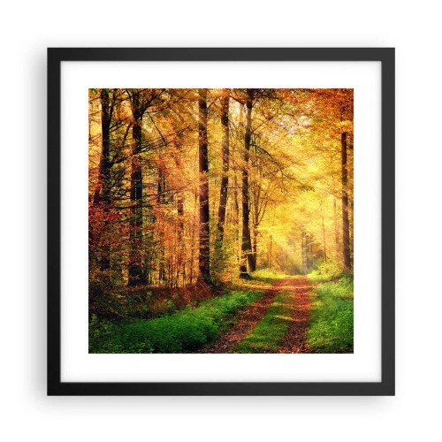 Affiche dans un cadre noir - Poster - Silence d'or en forêt - 40x40 cm