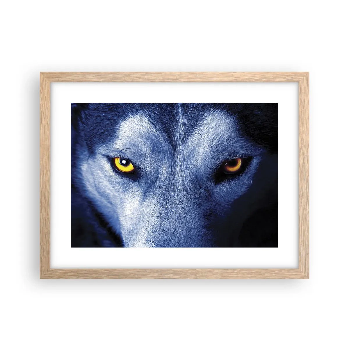 Affiche dans un chêne clair - Poster - Regars hypnotique - 40x30 cm