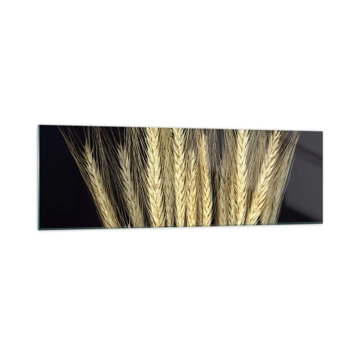 Impression sur verre - Image sur verre - Épis de blé sur fond noir dans un style rustique - 160x50cm - Magie rustique - Décoration murale moderne pour le salon et la chambre ARTTOR