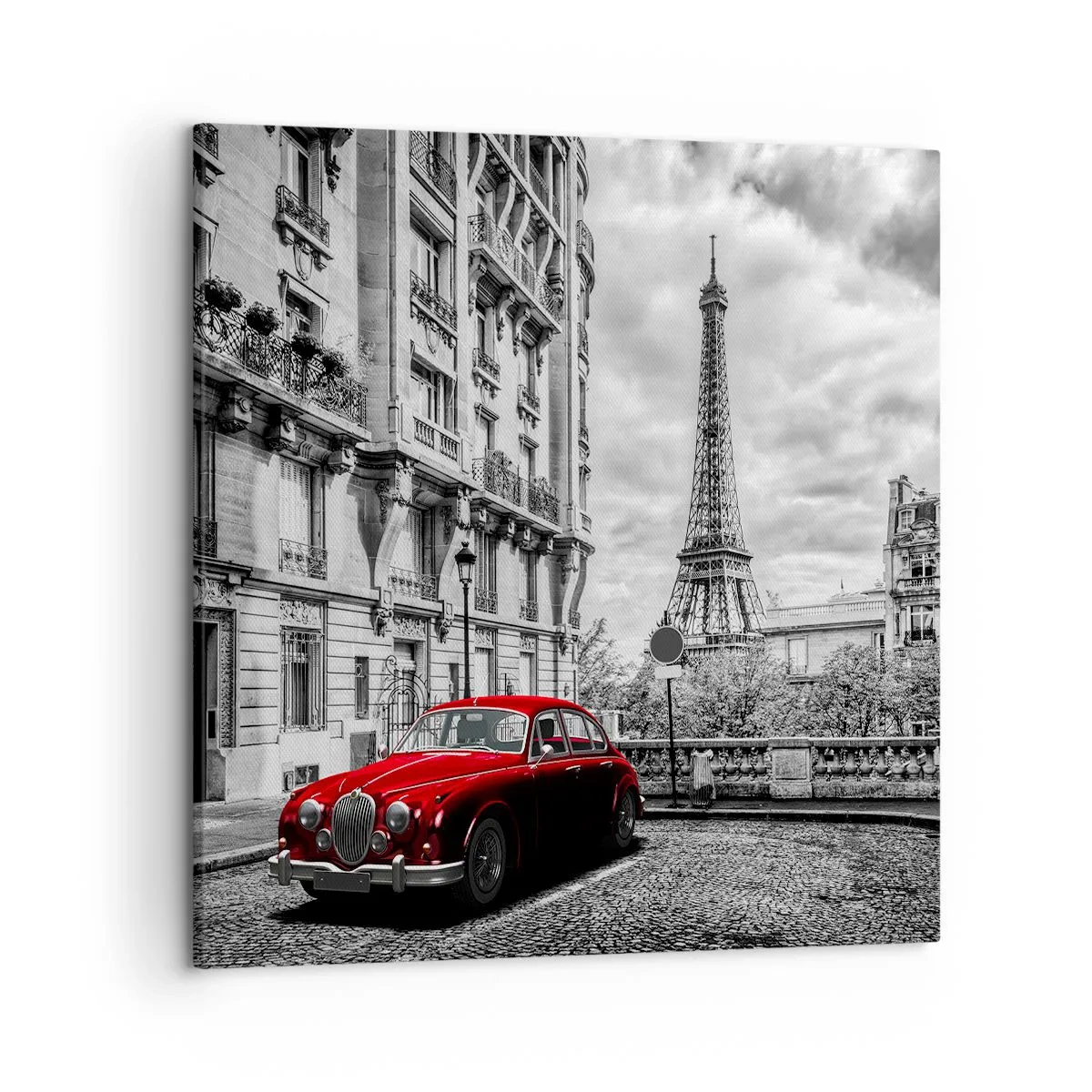 Impression sur toile - Image sur toile - Prédateur dans la ville - 50x50 cm
