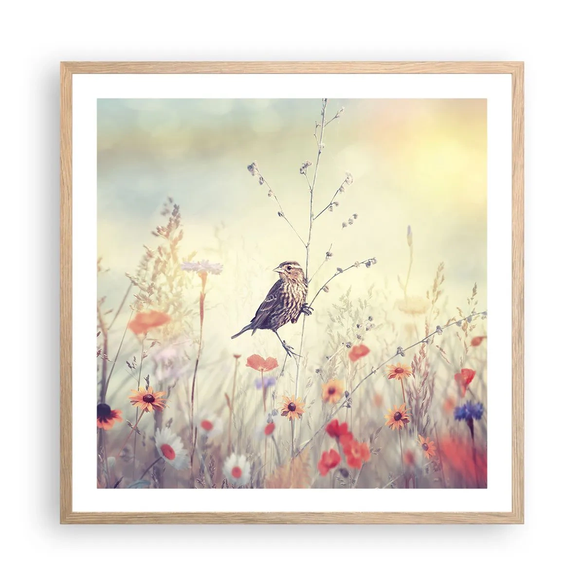 Affiche dans un chêne clair - Poster - Portrait d'oiseau sur pré en fond - 60x60 cm