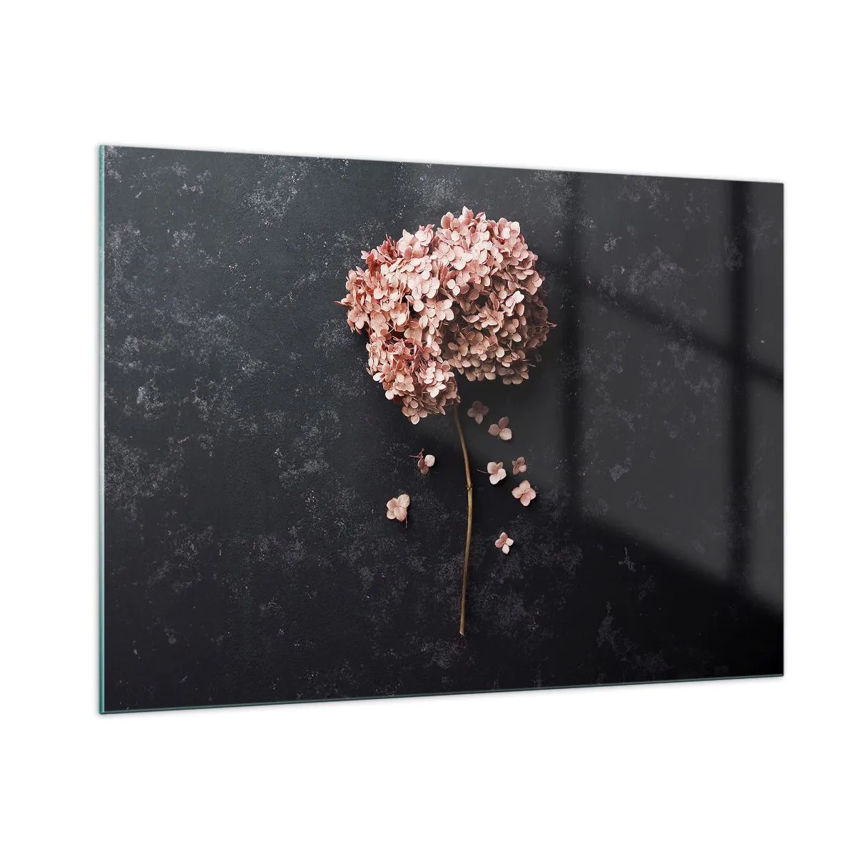Impression sur verre - Image sur verre - Hortensia sec aux pétales dispersés sur un fond sombre - 100x70cm - Un signe vraiment romantique - Décoration murale moderne pour le salon et la chambre ARTTOR