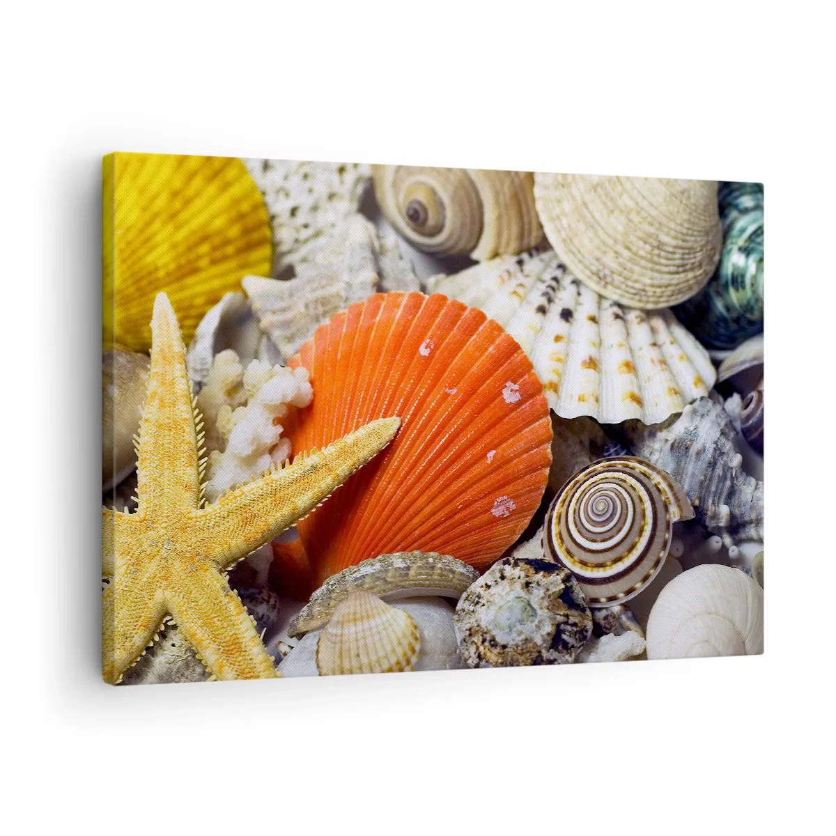 Impression sur toile - Image sur toile - Coquillages et étoiles de mer dans une composition marine - 70x50cm - Trésors de l'océan - Décoration murale moderne pour le salon et la chambre ARTTOR