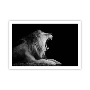 Affiche - Poster - Sans aucun doute - 91x61 cm