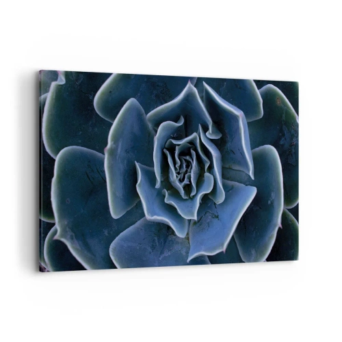 Impression sur toile - Image sur toile - Gros plan d'une rosette succulente verte - 120x80cm - Fleur du désert - Décoration murale moderne pour le salon et la chambre ARTTOR