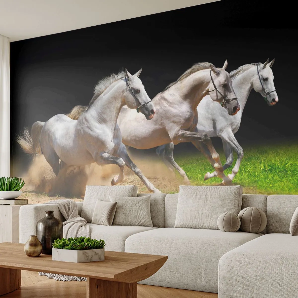 Papier Peint Autocollant Deluxe Sticker - Trois Grâces - Les chevaux, Animaux, Galop - 250x175 cm