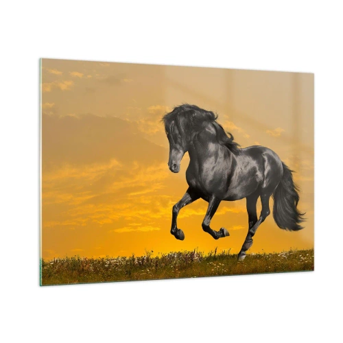 Impression sur verre - Image sur verre - Un cheval noir galopant contre le soleil couchant - 100x70cm - Beau, libre et sauvage - Décoration murale moderne pour le salon et la chambre ARTTOR