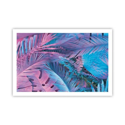 Affiche - Poster - Les tropiques en rose et bleu - 91x61 cm