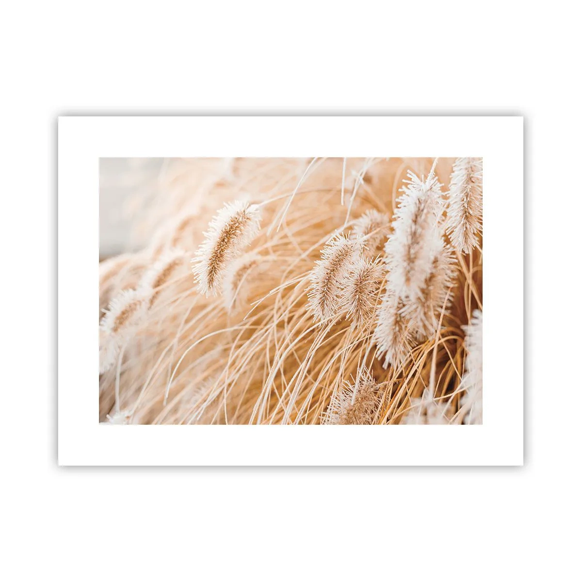 Affiche - Poster - Le bruissement doré de l'herbe - 40x30 cm