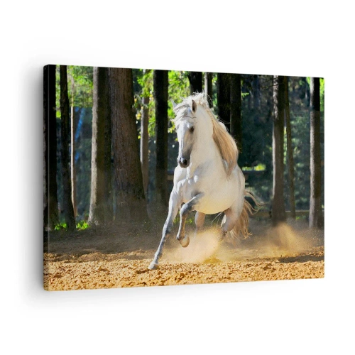 Impression sur toile - Image sur toile - Un cheval blanc galopant dans une clairière forestière - 70x50cm - Comme dans un roman fantastique - Décoration murale moderne pour le salon et la chambre ARTTOR