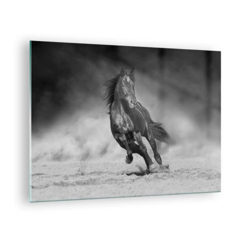 Impression sur verre - Image sur verre - Un cheval noir galopant sur le sable en noir et blanc. - 70x50cm - Digne de l'émir lui-même - Décoration murale moderne pour le salon et la chambre ARTTOR