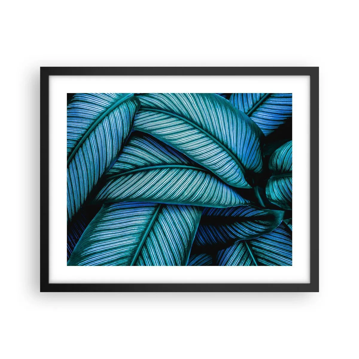 Affiche dans un cadre noir - Poster - Lignes de vie - 50x40 cm