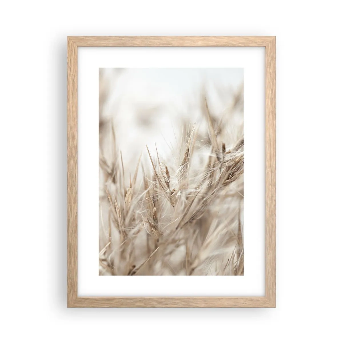 Affiche dans un chêne clair - Poster - Prairie et vent - 30x40 cm