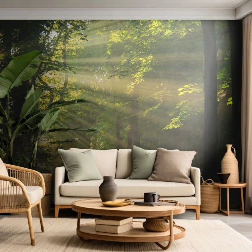 Papier Peint Autocollant Deluxe Sticker - Moment de forêt - Paysage, Forêt, Nature - 250x175 cm