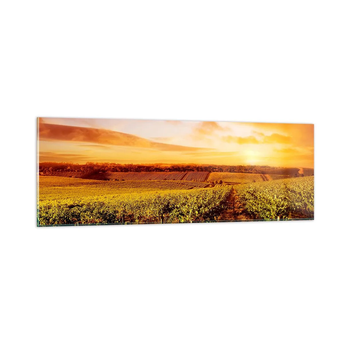 Impression sur verre - Image sur verre - Légèrement fruité avec une pointe de soleil - 90x30 cm