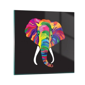 Impression sur verre - Image sur verre - L'éléphant qui aimait se baigner dans un arc-en-ciel - 50x50 cm