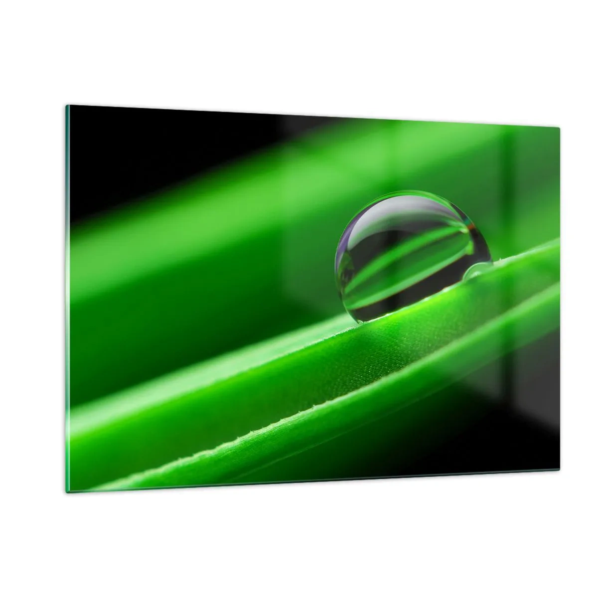 Impression sur verre - Image sur verre - Une goutte de rosée sur une feuille verte - 120x80cm - La vie de près - Décoration murale moderne pour le salon et la chambre ARTTOR