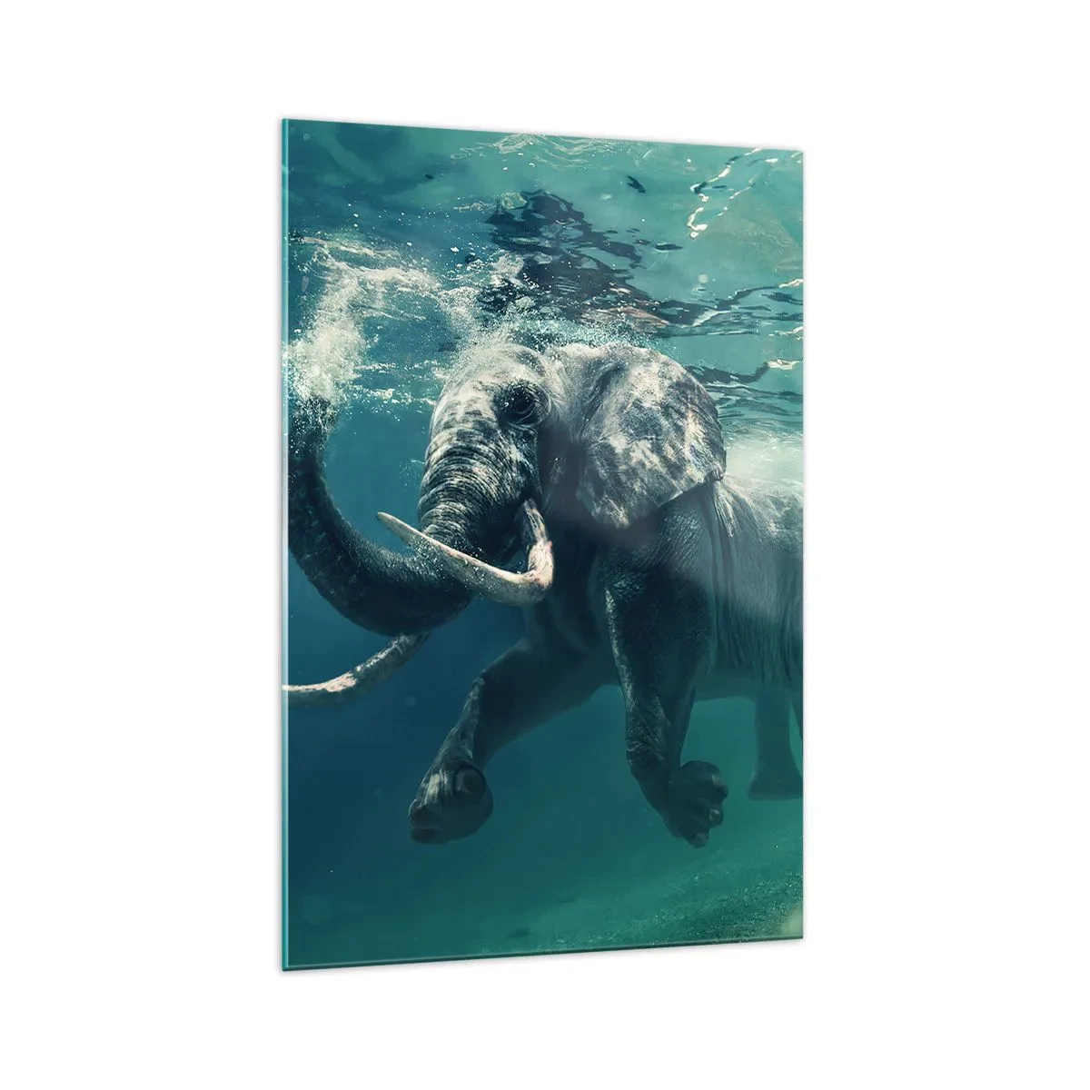 Impression sur verre - Image sur verre - Un éléphant nageant sous l'eau dans les profondeurs turquoise - 70x100cm - Tout le monde aime nager - Décoration murale moderne pour le salon et la chambre ARTTOR