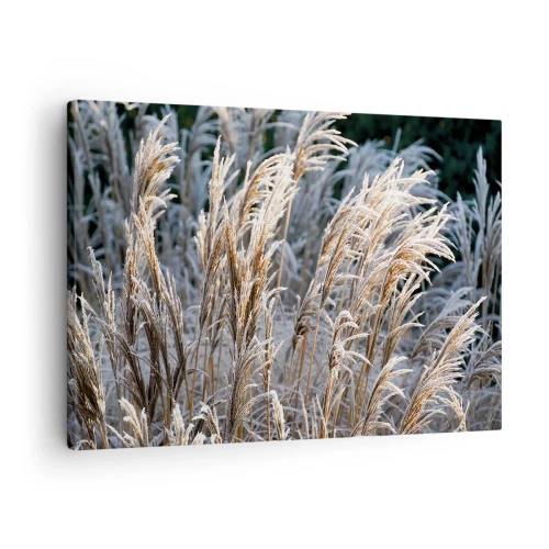 Impression sur toile - Image sur toile - Brins d'herbe d'hiver recouverts de givre sur un fond vert foncé - 70x50cm - Habillé de givre - Décoration murale moderne pour le salon et la chambre ARTTOR