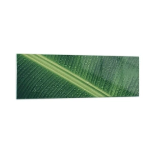 Impression sur verre - Image sur verre - Une feuille verte avec des gouttes d'eau à sa surface - 160x50cm - Structure de vert - Décoration murale moderne pour le salon et la chambre ARTTOR