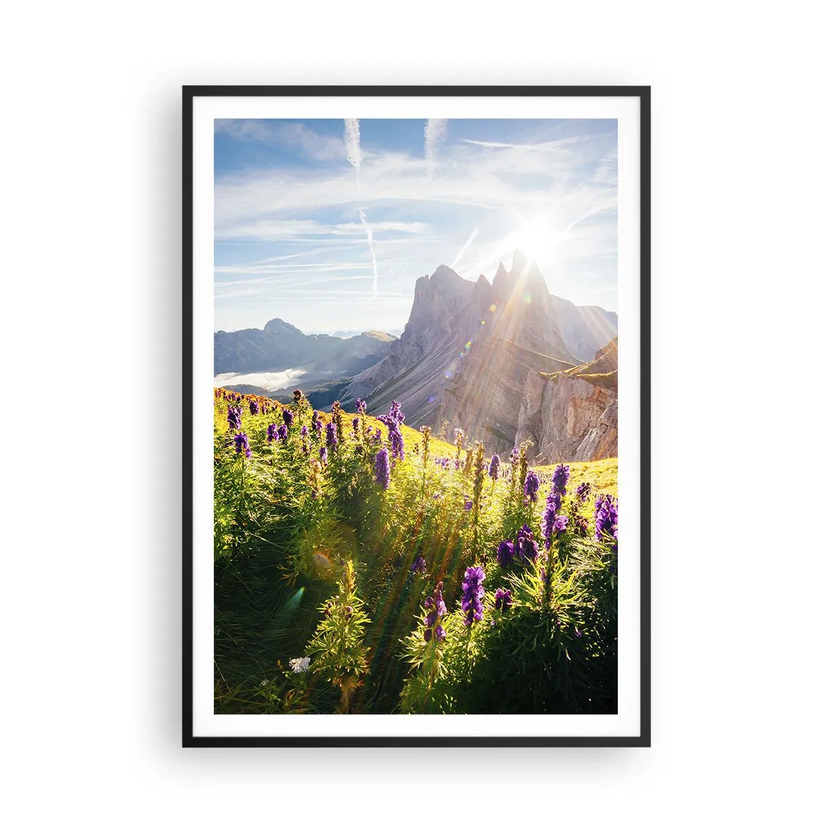 Affiche dans un cadre noir - Poster - La vie secrète des herbes - 70x100 cm