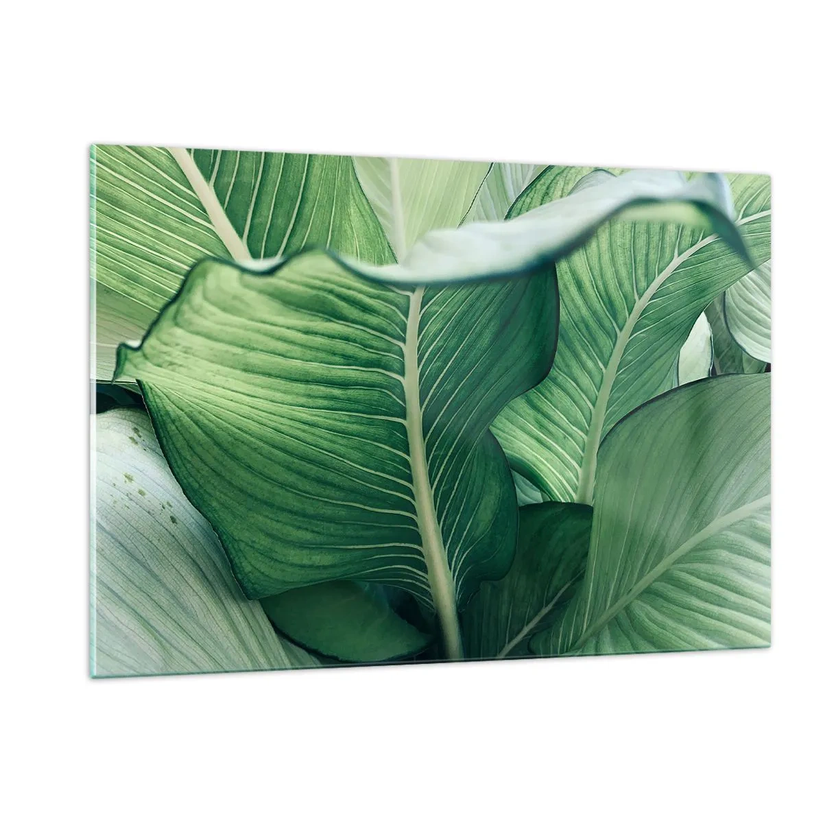 Impression sur verre - Image sur verre - Feuilles vertes luxuriantes en gros plan et à la lumière naturelle - 120x80cm - Une vie intensément verte - Décoration murale moderne pour le salon et la chambre ARTTOR