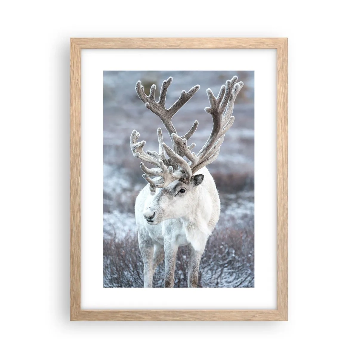 Affiche dans un chêne clair - Poster - Portrait au soleil - 30x40 cm