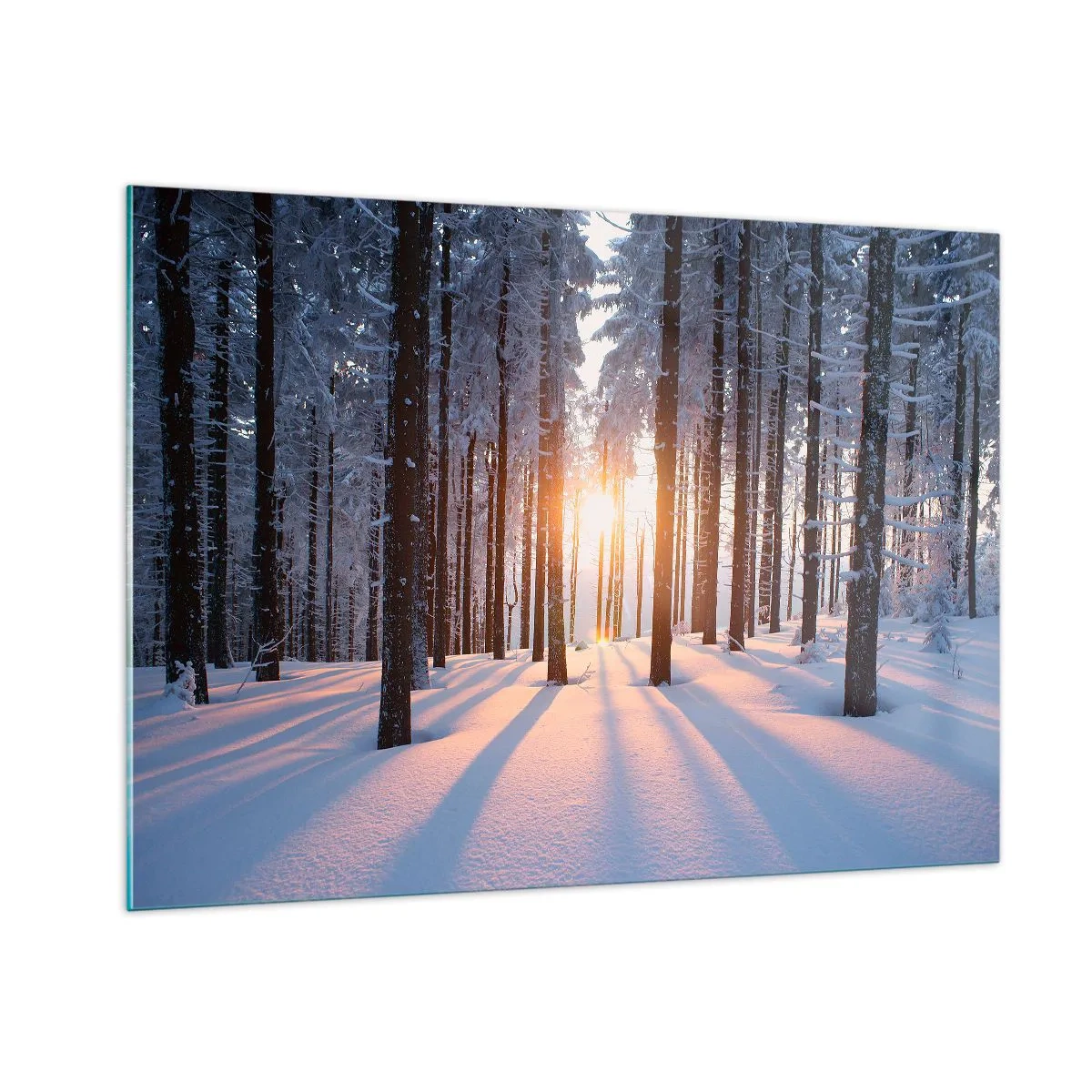 Impression sur verre - Image sur verre - Forêt d'hiver avec les rayons du soleil qui brillent à travers les arbres - 100x70cm - Clairement en noir et blanc - Décoration murale moderne pour le salon et la chambre ARTTOR