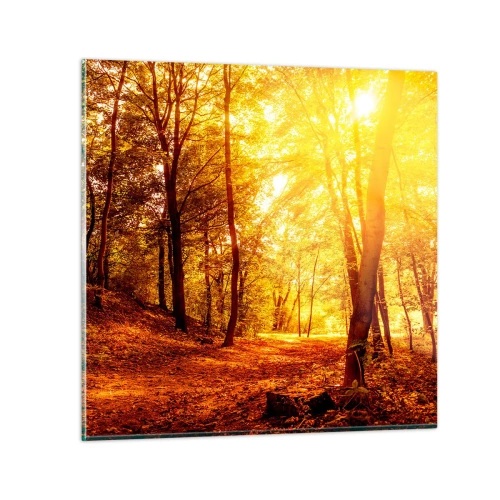 Impression sur verre - Image sur verre - Vers la clairière dorée - 50x50 cm