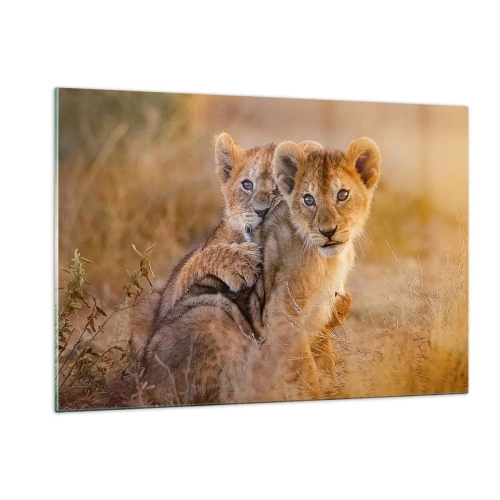 Impression sur verre - Image sur verre - Deux jeunes lionceaux dans un cadre naturel de savane - 120x80cm - Ne pas déranger! On s'amuse - Décoration murale moderne pour le salon et la chambre ARTTOR