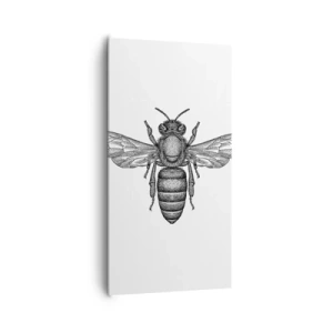 Impression sur toile - Image sur toile - Portrait d'insecte - 65x120 cm