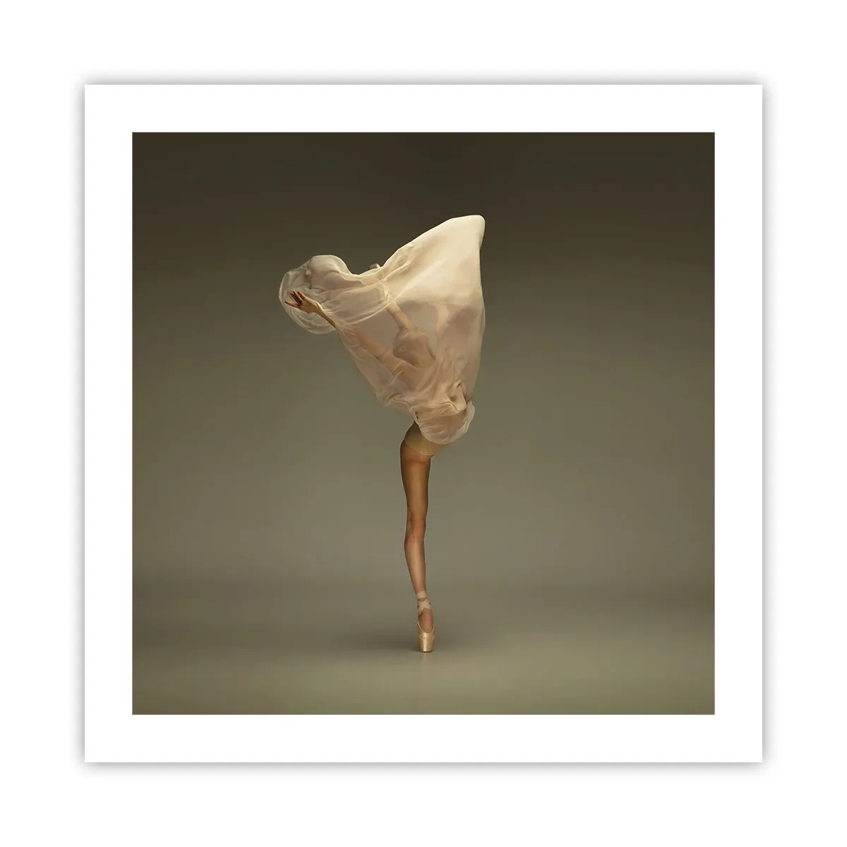 Affiche - Poster - Il va bientôt s'envoler - 50x50 cm