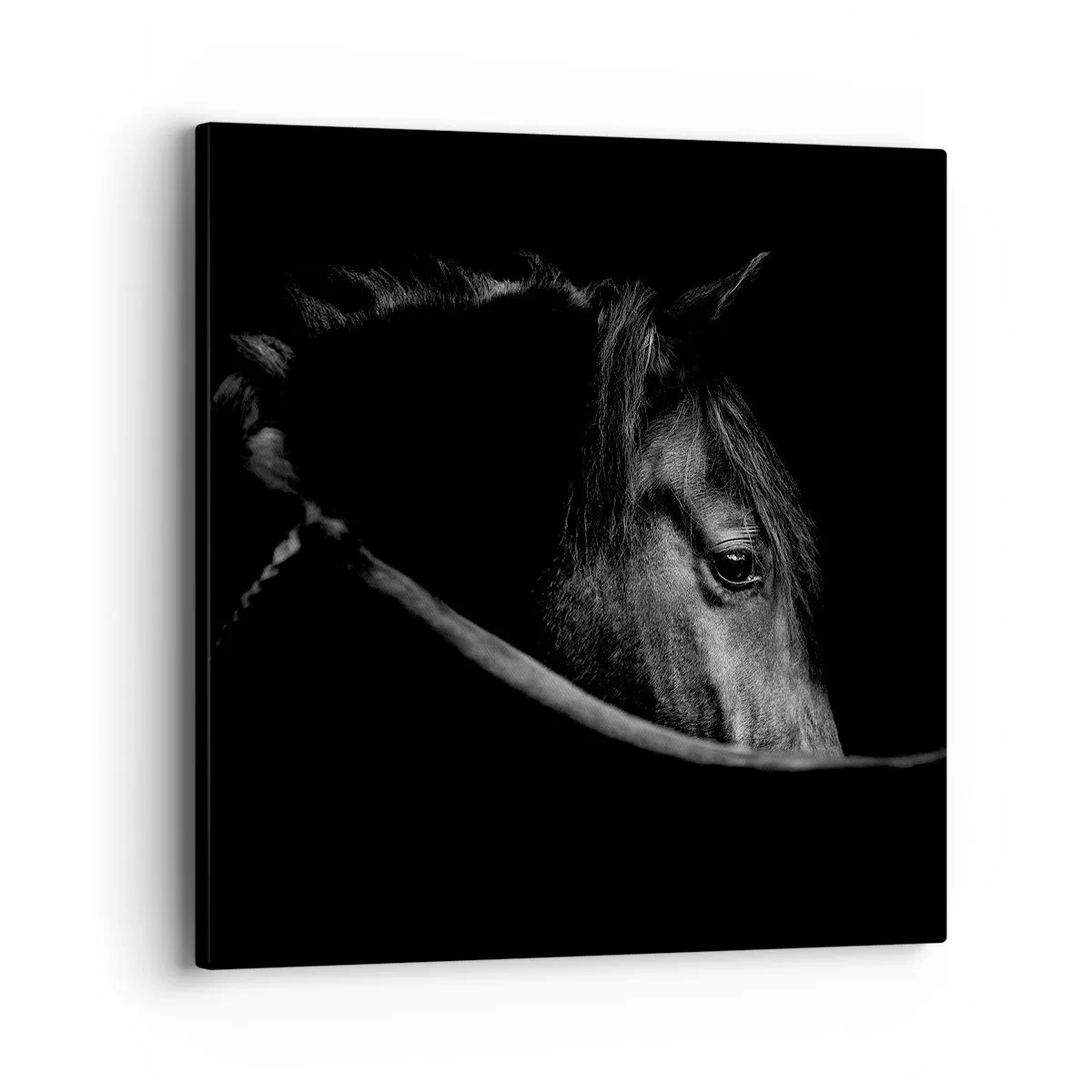 Impression sur toile - Image sur toile - Prince Noir - 40x40 cm