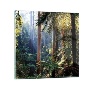 Impression sur verre - Image sur verre - Fable de la forêt - 60x60 cm