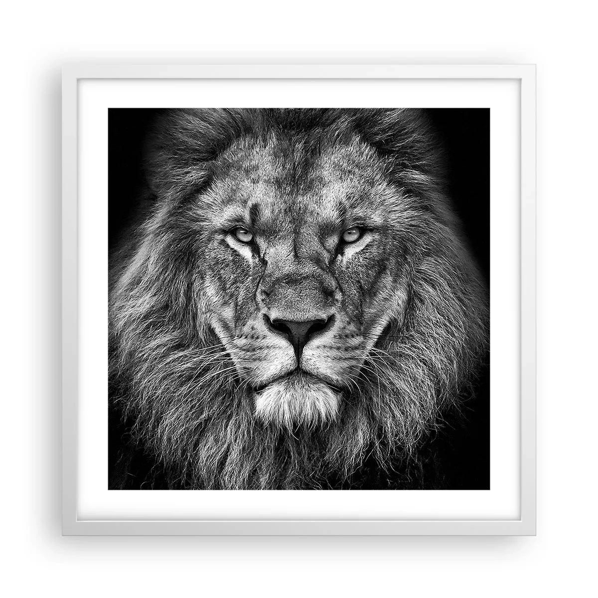 Affiche dans un cadre blanc - Poster - En vêtement de sacre - 50x50 cm