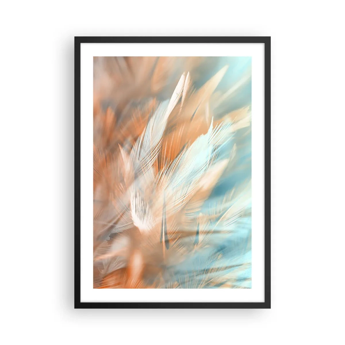 Affiche dans un cadre noir - Poster - Plumes délicates dans des tons de bleu et de pêche - 50x70cm - Au pays de la douceur - Décoration murale moderne pour le salon et la chambre ARTTOR