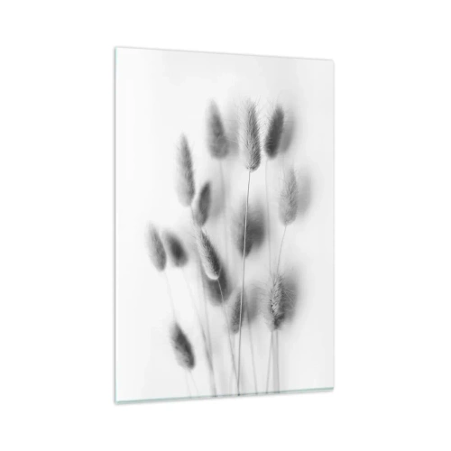 Impression sur verre - Image sur verre - Graminées délicates dans des tons de gris sur fond blanc - 80x120cm - Son herbe duveteuse - Décoration murale moderne pour le salon et la chambre ARTTOR