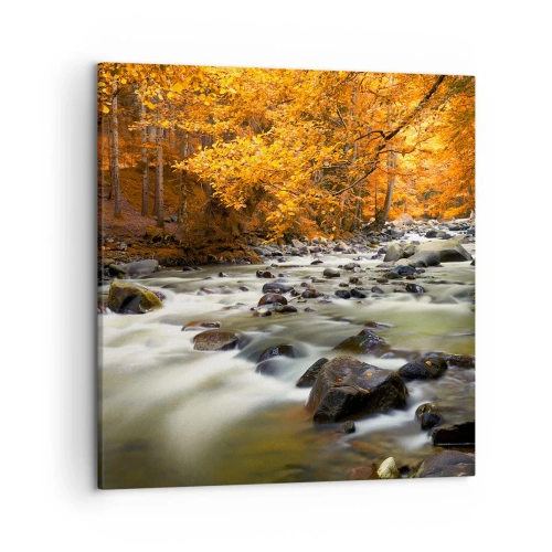 Impression sur toile - Image sur toile - Un ruisseau dans une forêt dorée - 50x50 cm