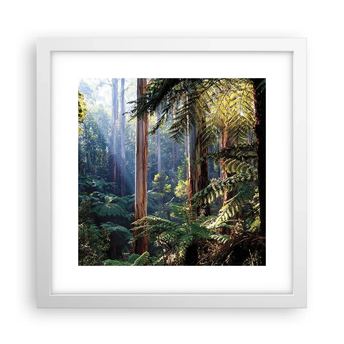 Affiche dans un cadre blanc - Poster - Fable de la forêt - 30x30 cm