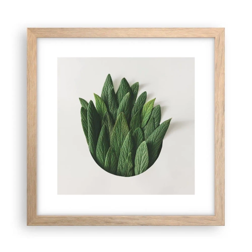 Affiche dans un chêne clair - Poster - Curiosité sans retenue - 30x30 cm