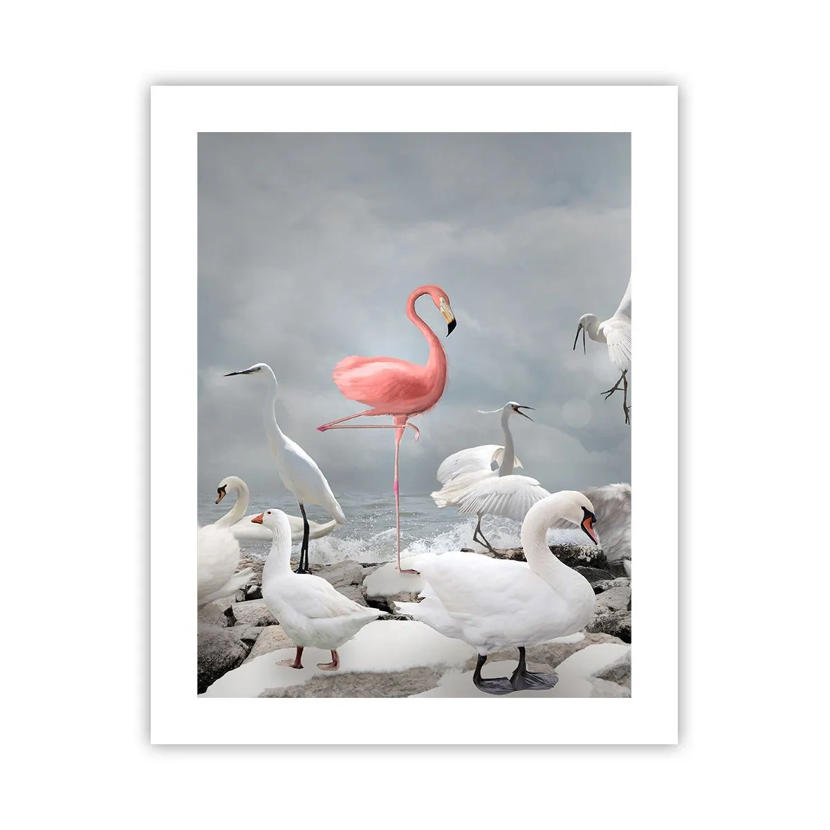 Affiche - Poster - Comment suis-je arrivé là? - 40x50 cm