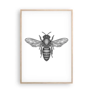Affiche dans un chêne clair - Poster - Portrait d'insecte - 70x100 cm