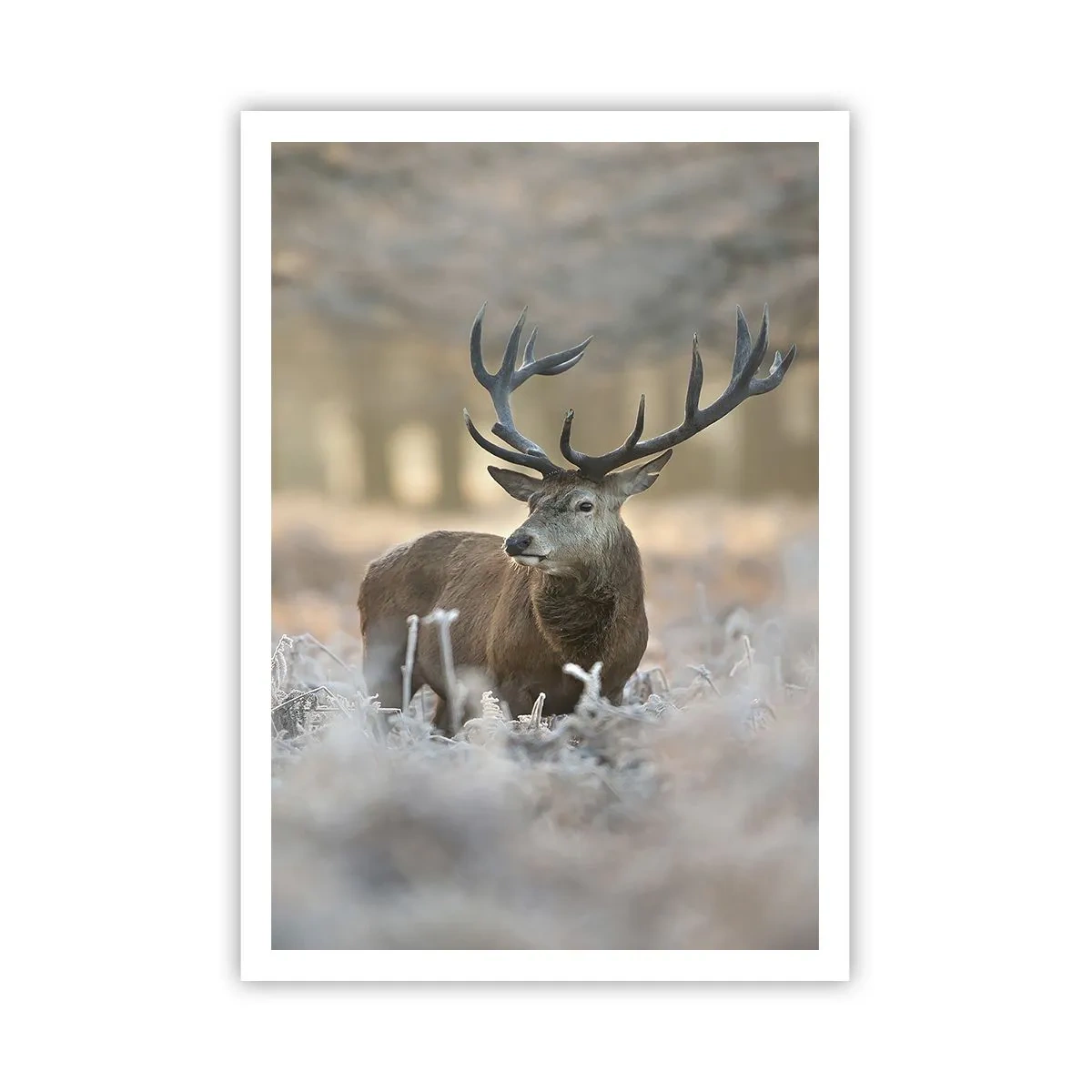 Affiche - Poster - Une matinée animée - 70x100 cm