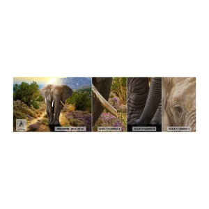 Échantillon de Papier Peint Premium Sand - Voilà à quoi ressemblait l'Eden - Animaux, Éléphant, Safari - 100x30 cm