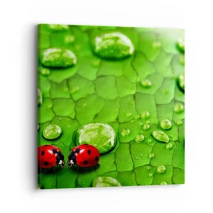 Impression sur toile - Image sur toile - Rendez-vous au vert - 30x30 cm
