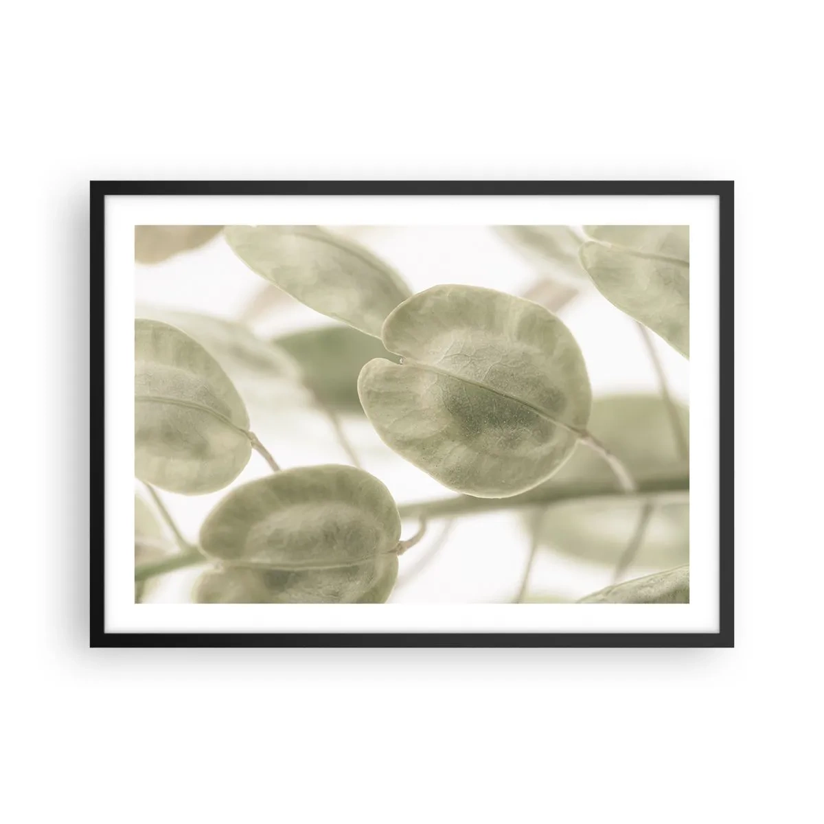 Affiche dans un cadre noir - Poster - Une peinture délicate de feuilles dans des tons pastel de vert sur un fond clair. - 70x50cm - Au commencement il y avait des feuilles... - Décoration murale moderne pour le salon et la chambre ARTTOR